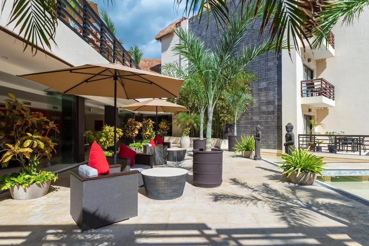 Ata35 Studio With A Terrace Perfect Getaway Wifi Gym Playa del Carmen 0*,  Mexico